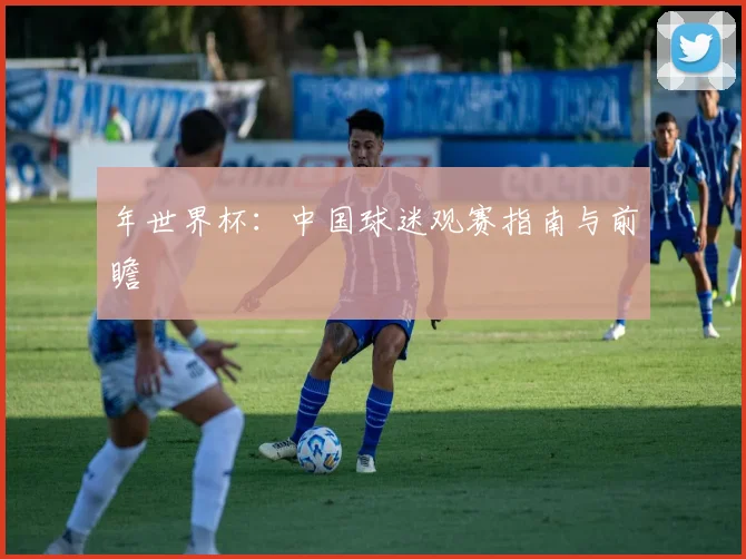 年世界杯:中国球迷观赛指南与前瞻