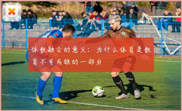 体教融合的意义：为什么体育是教育不可或缺的一部分