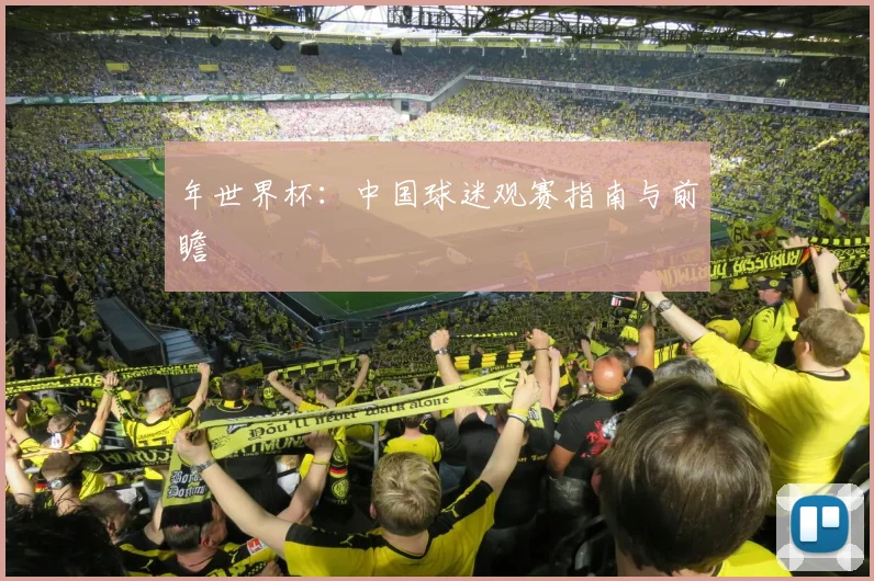 年世界杯:中国球迷观赛指南与前瞻